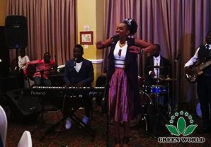 背景音乐的乐队,探寻背景音乐中的乐队传奇