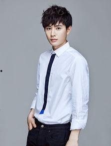 司文资料,深度解析与全面概述