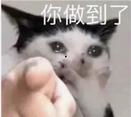 好 丽友 表情包,传递欢乐,点亮生活瞬间