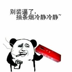 搞笑全是字的视频,搞笑文字视频集锦,笑到肚子疼!